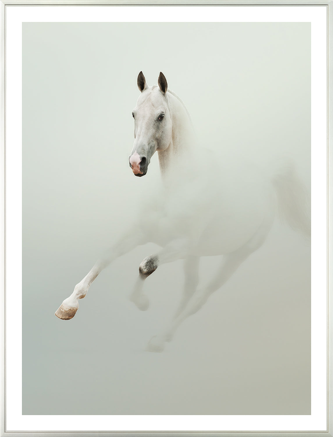 Stallion in Fog Pair Bundle — nature and landscape fine art print in neutral tones at Laurie Yapp Home