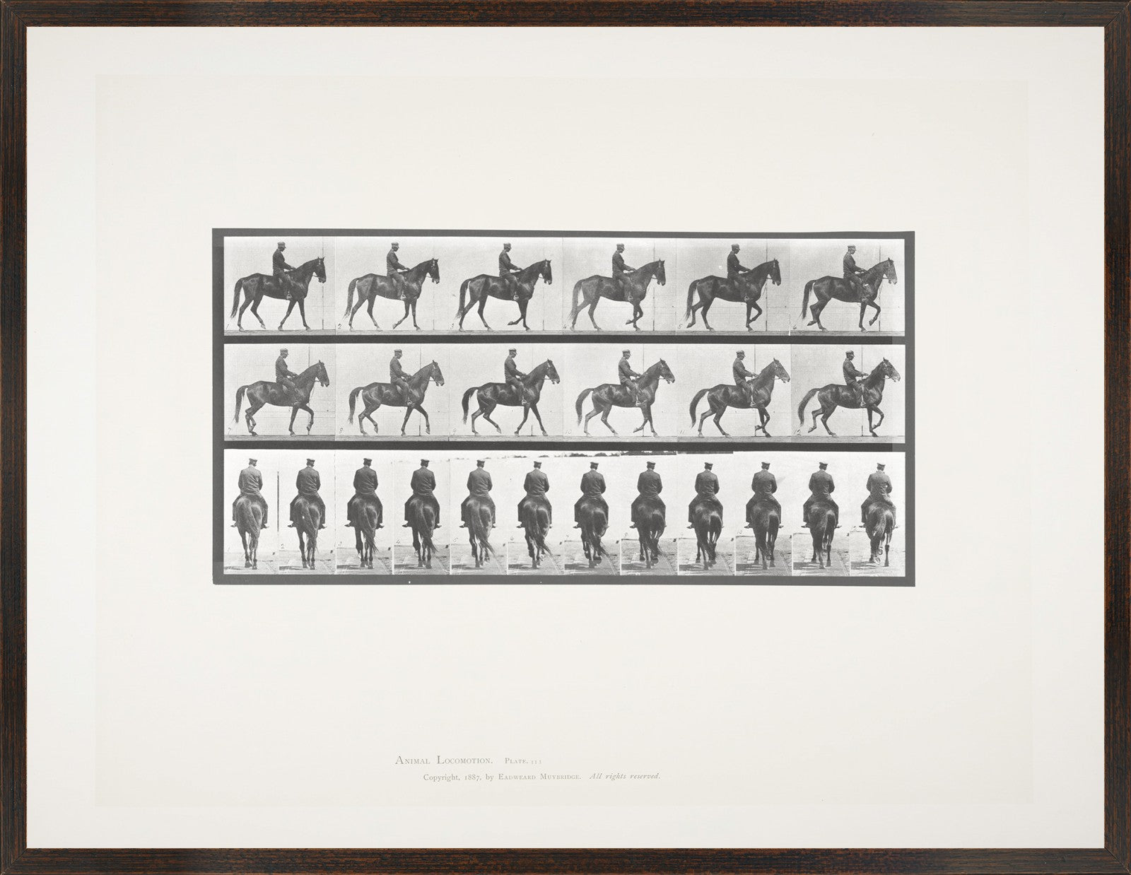 Muybridge Horse & Rider Pair Bundle — architecture and travel fine art print in neutral tones at Laurie Yapp Home