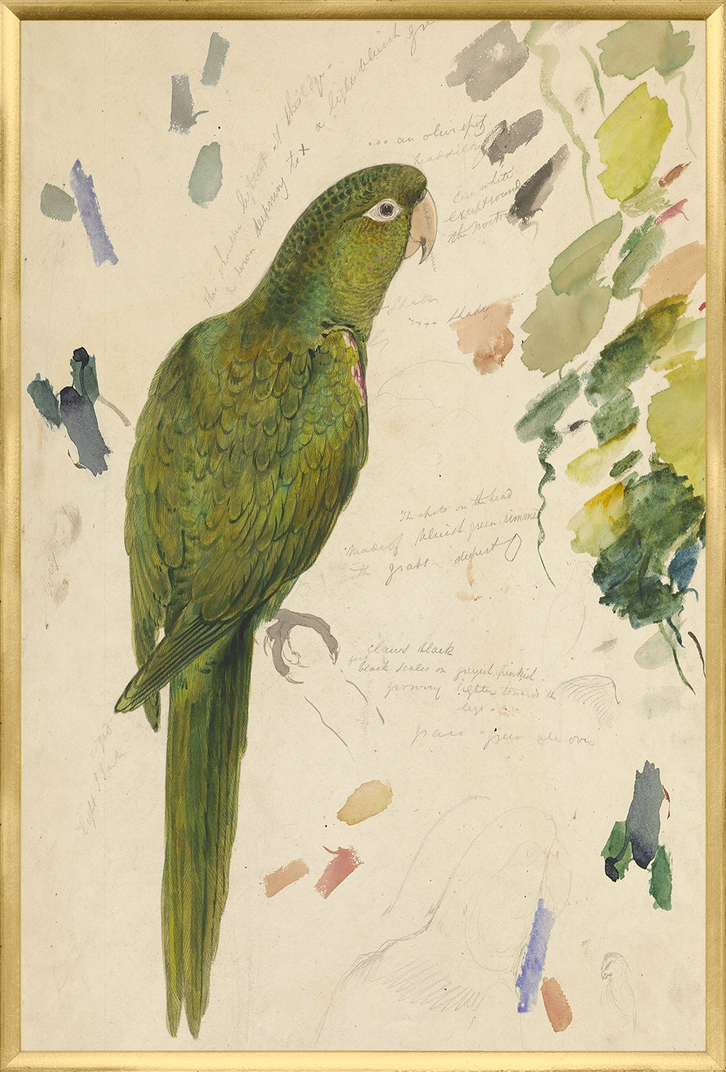 Lear – Vibrant Green Parrot — nature and landscape fine art print in cool tones at Laurie Yapp Home
