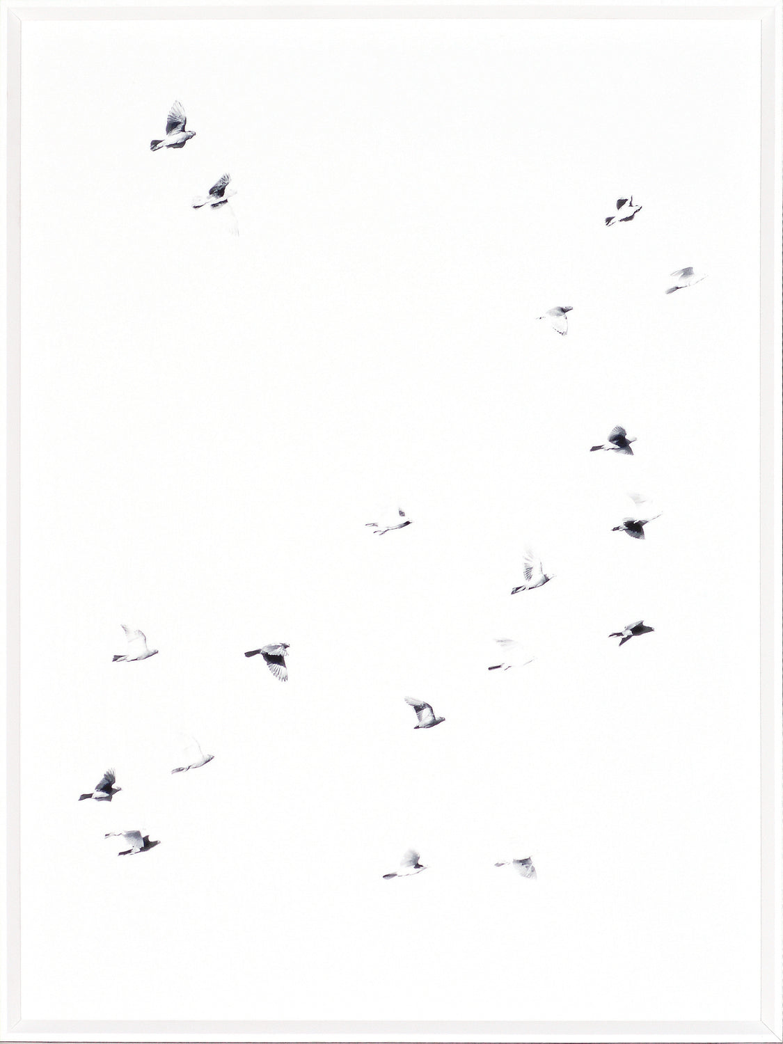 Flight Path I — nature and landscape fine art print shown from another angle