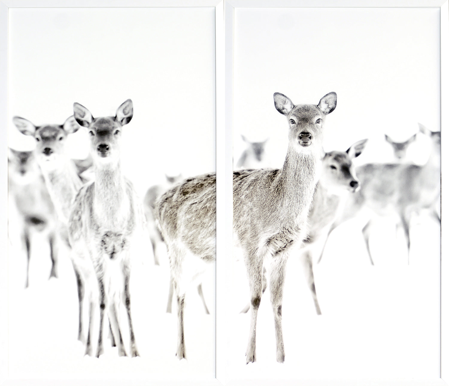 Surveillance — nature and landscape fine art print in neutral tones at Laurie Yapp Home