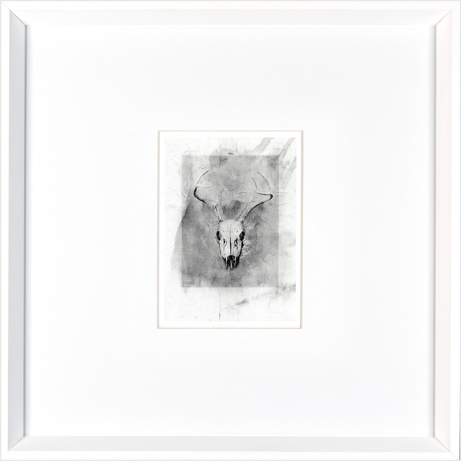Skull — nature and landscape fine art print shown from another angle