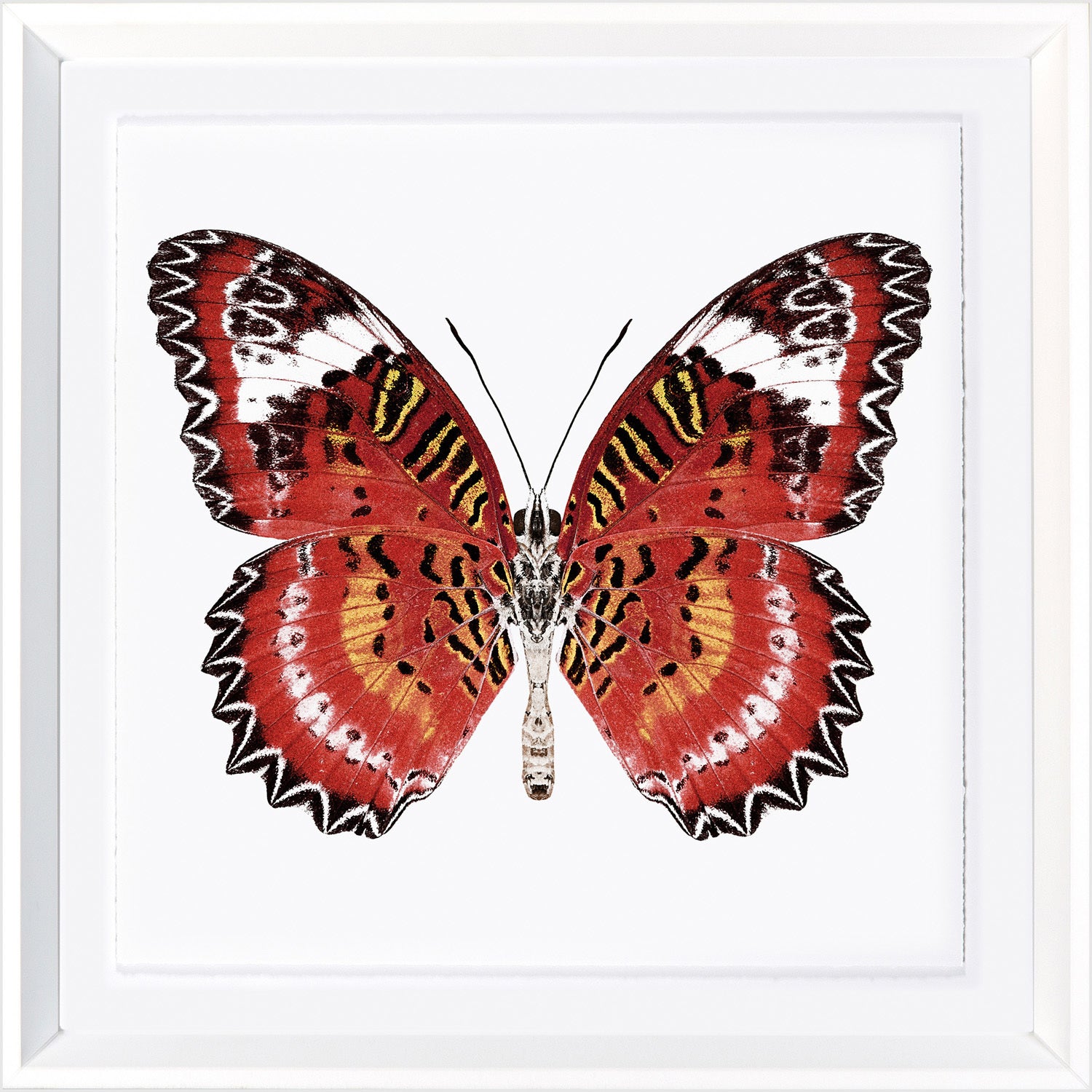 Vivid Papillons IV — nature and landscape fine art print in bold primary tones at Laurie Yapp Home