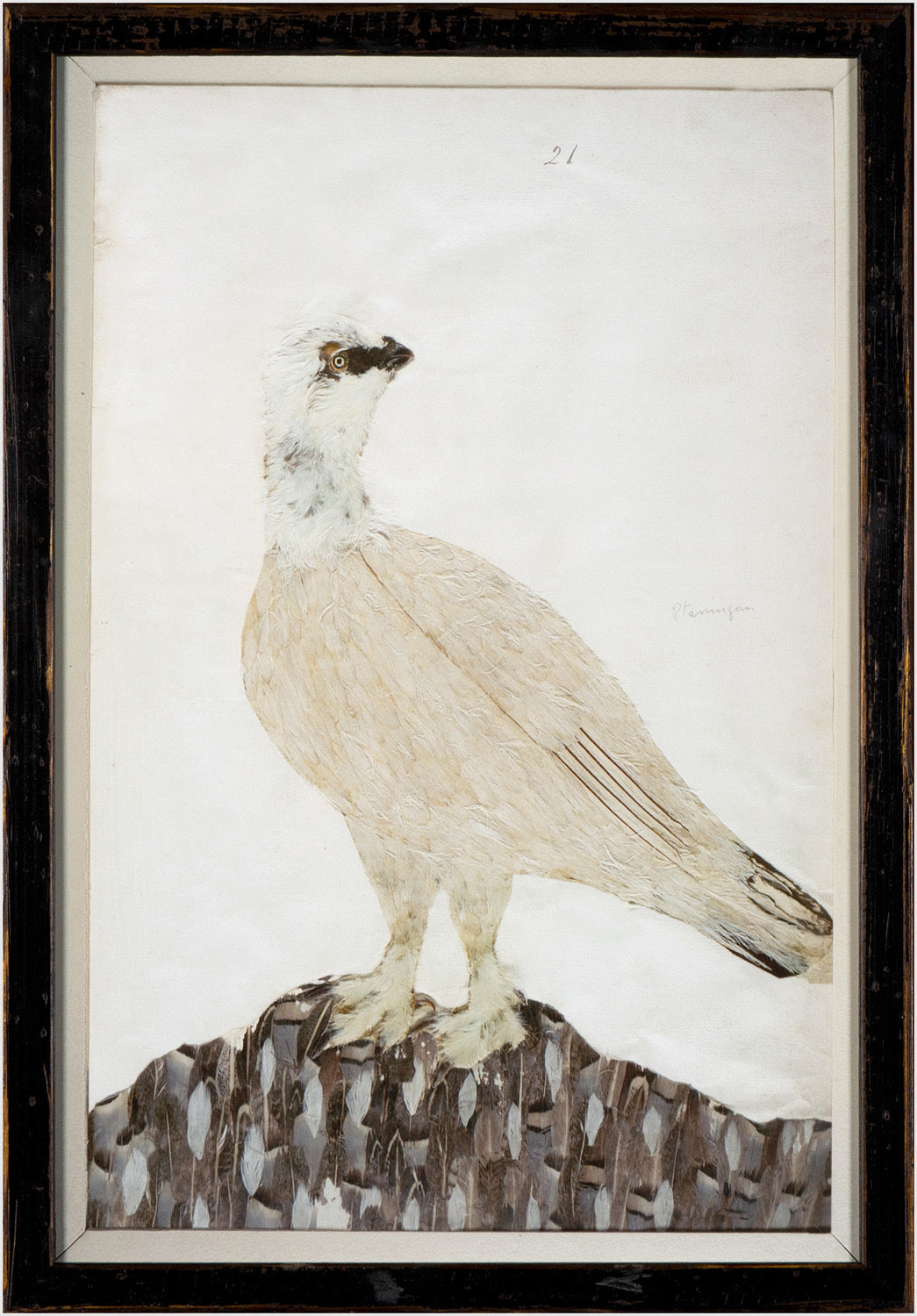 Minaggio Plate 21 — nature and landscape fine art print in neutral tones at Laurie Yapp Home