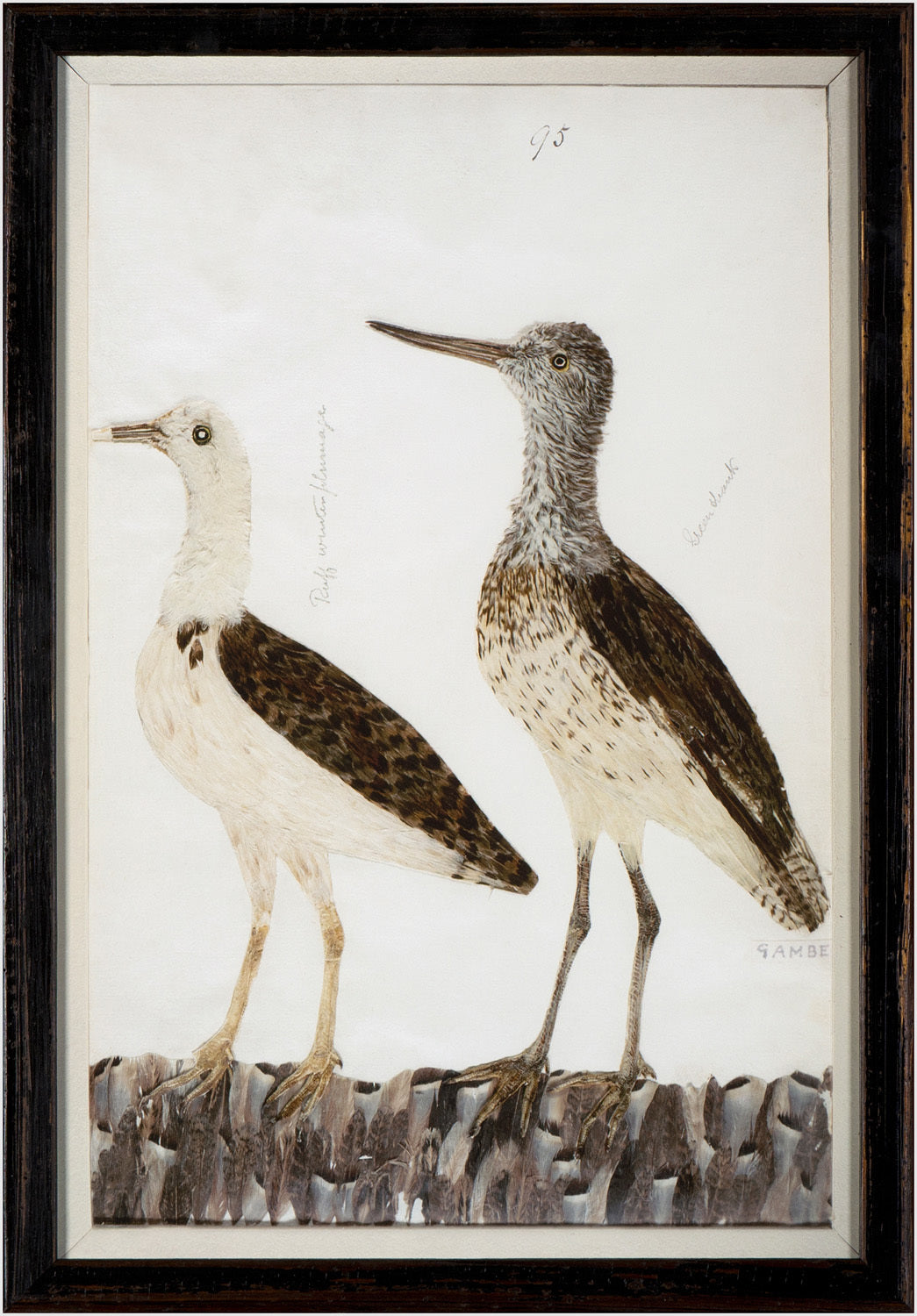 Minaggio Plate 95 — nature and landscape fine art print in neutral tones at Laurie Yapp Home