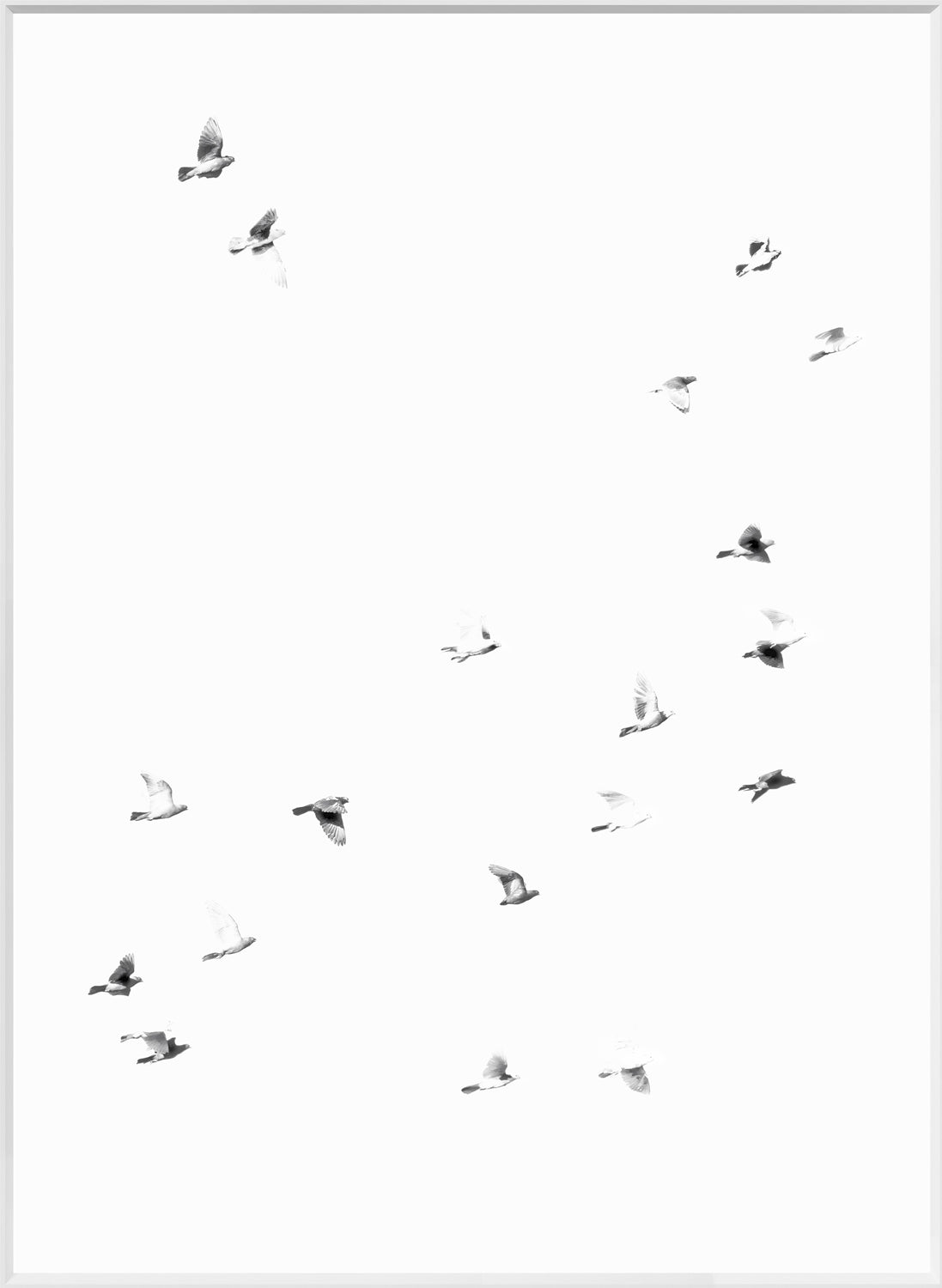 Flight Path I — nature and landscape fine art print in neutral tones at Laurie Yapp Home