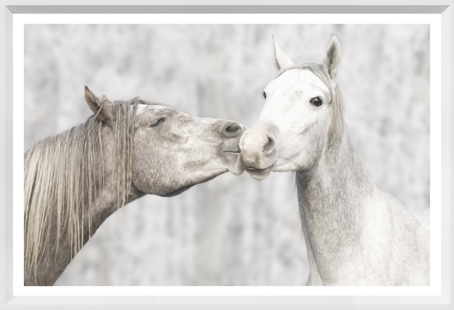 Homage — nature and landscape fine art print shown from another angle