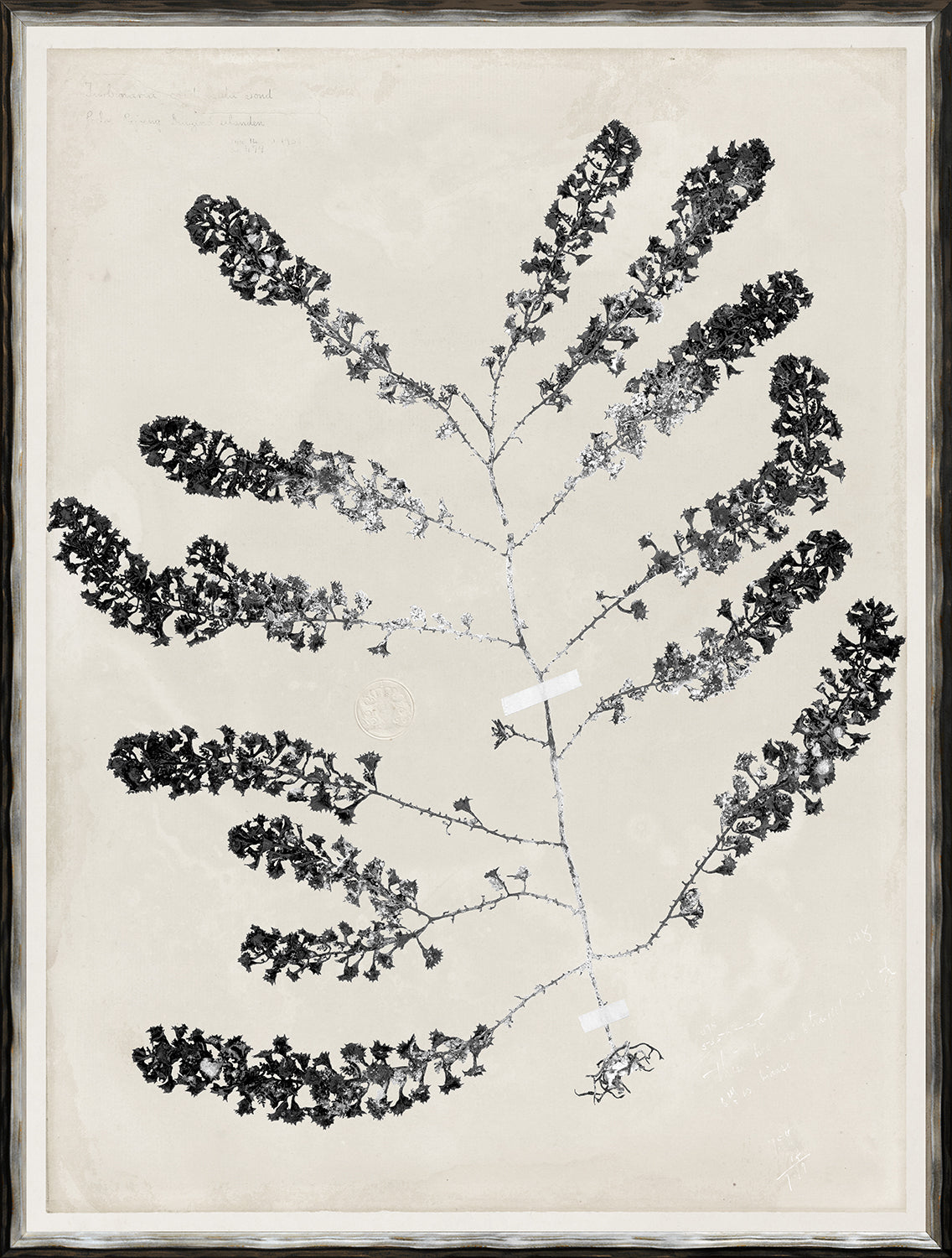 De Mari Series I framed art print, Gild Silver, 19 × 25 in
