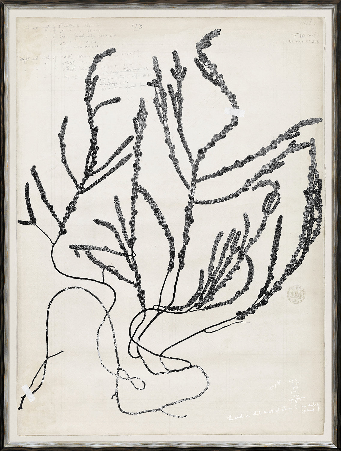 De Mari Series V framed art print, Gild Silver, 19 × 25 in