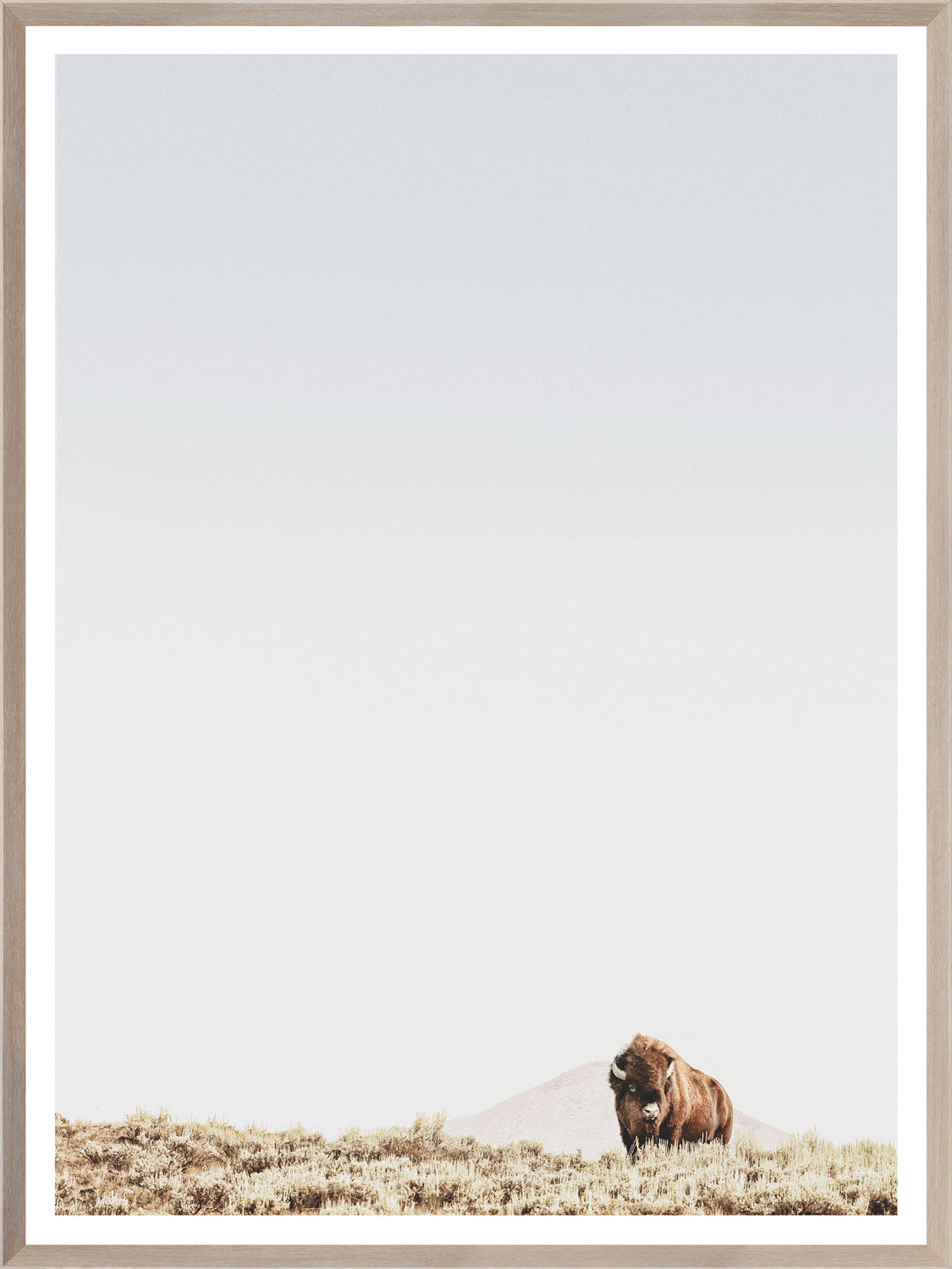 Sage Ridge, Buffalo — nature and landscape fine art print in neutral tones at Laurie Yapp Home