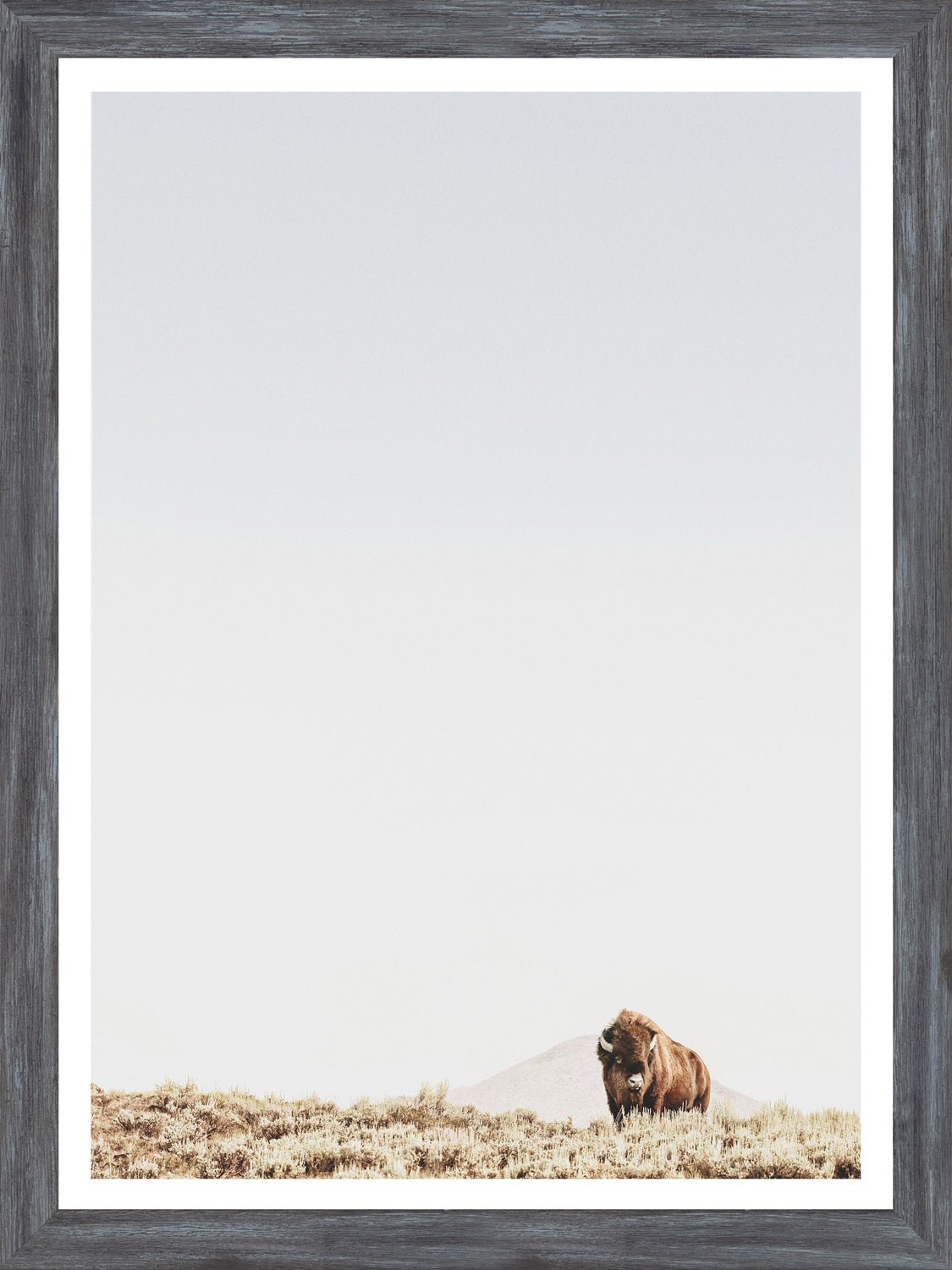 Sage Ridge, Buffalo — nature and landscape fine art print shown from another angle