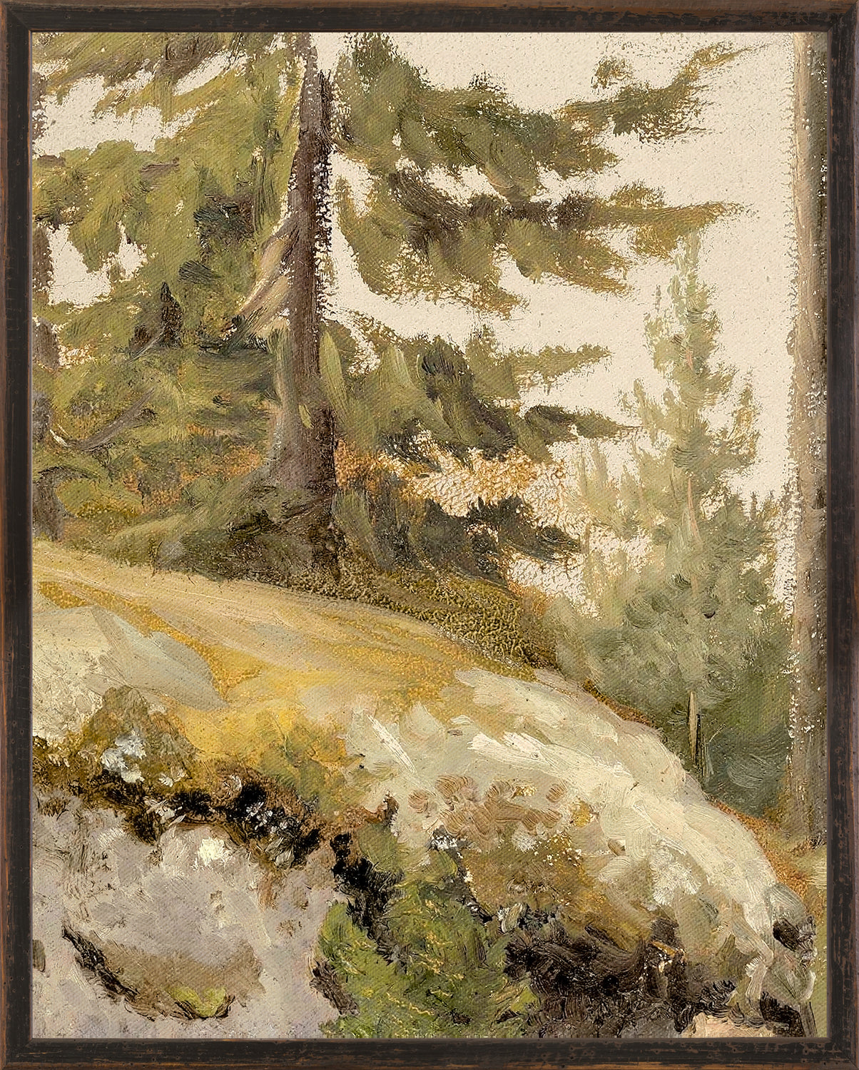 Northern Collection Forest Study