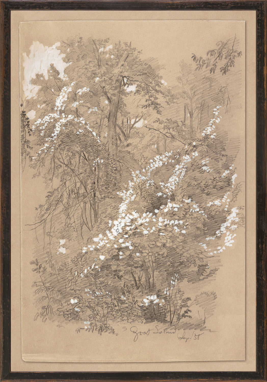 Northern Collection Goat Island C 1858 framed art print