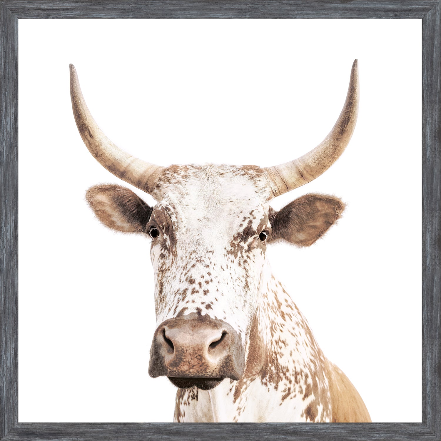 Nguni — nature and landscape fine art print in neutral tones at Laurie Yapp Home