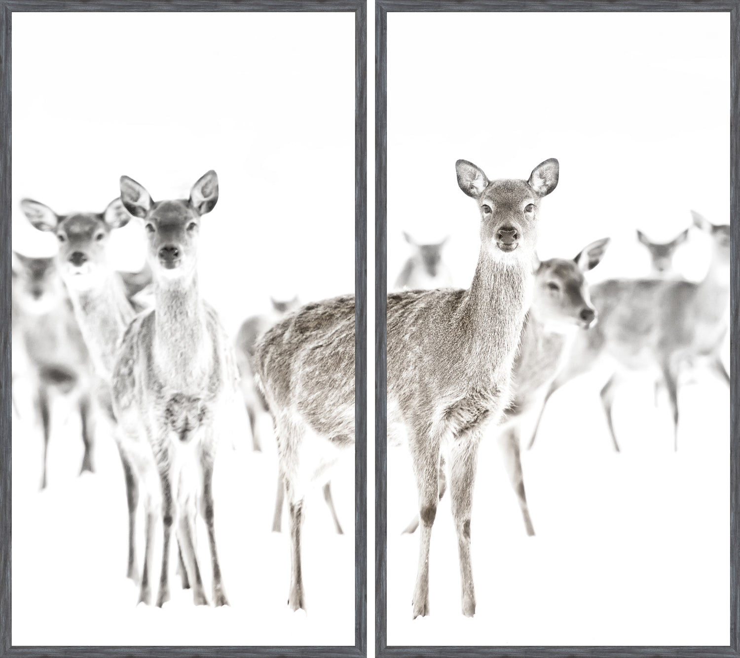 Surveillance — nature and landscape fine art print shown from another angle