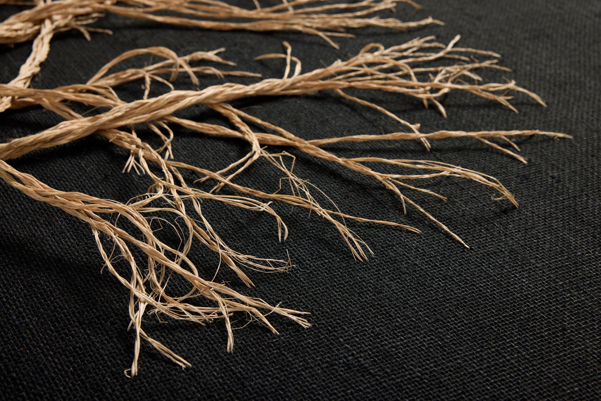 Rooted Black / Beige Rug Art shown from another angle.