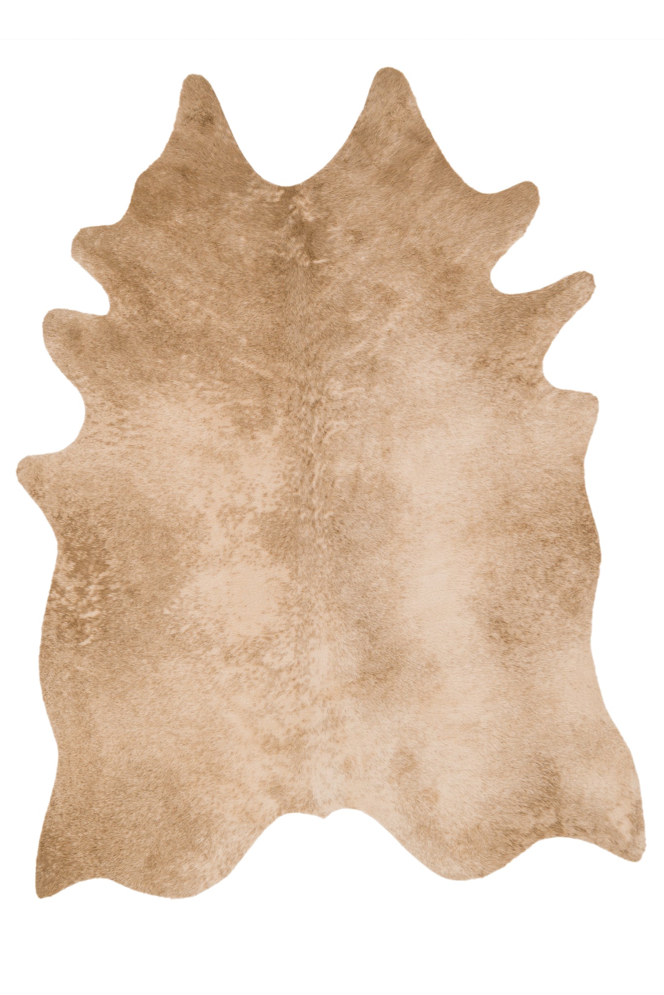 Grand Canyon Tan — a Loloi rug at Laurie Yapp Home.