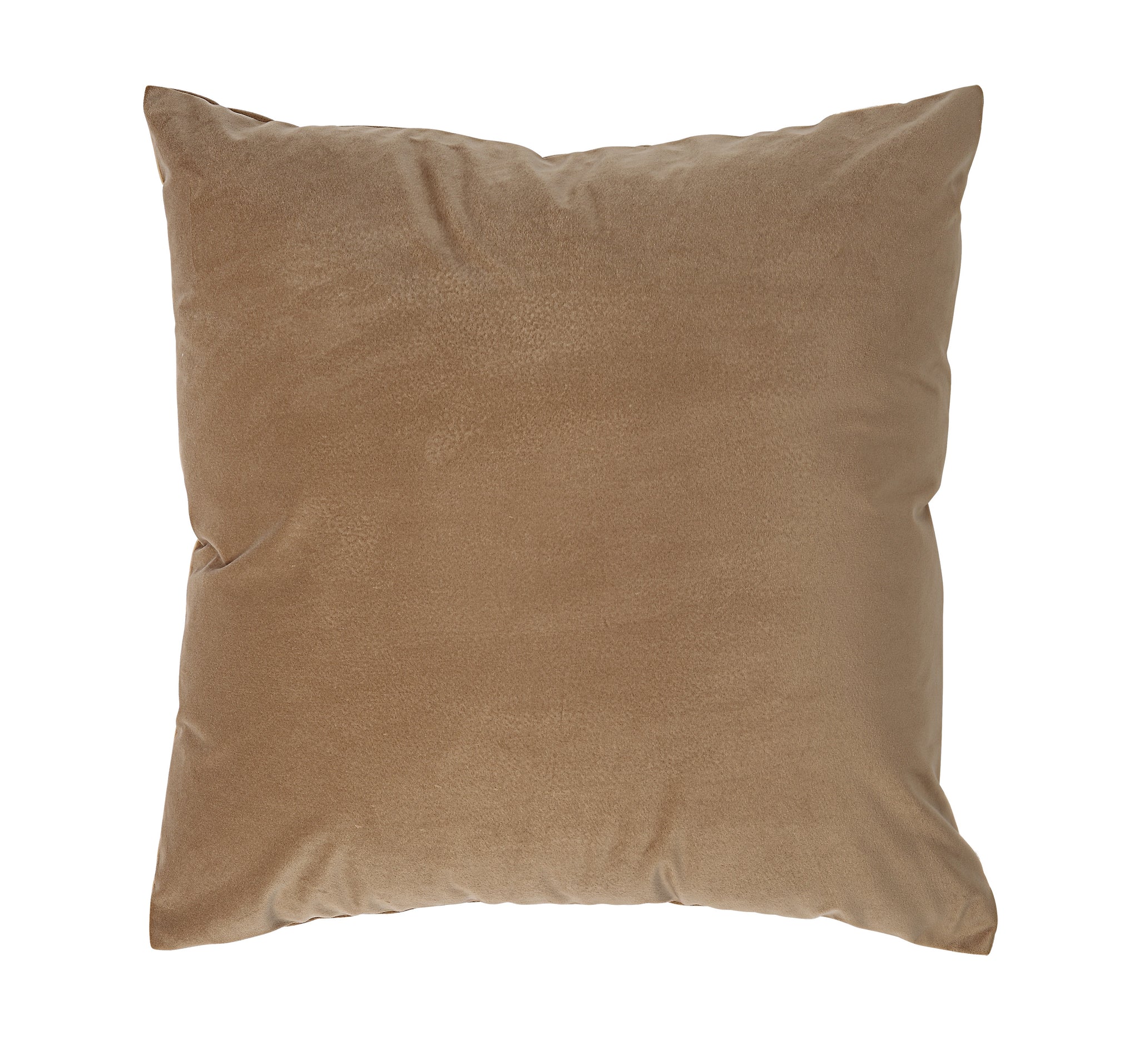Alchemilla Indoor Pillow in a soft beige color, featuring a smooth velvet texture and square shape.