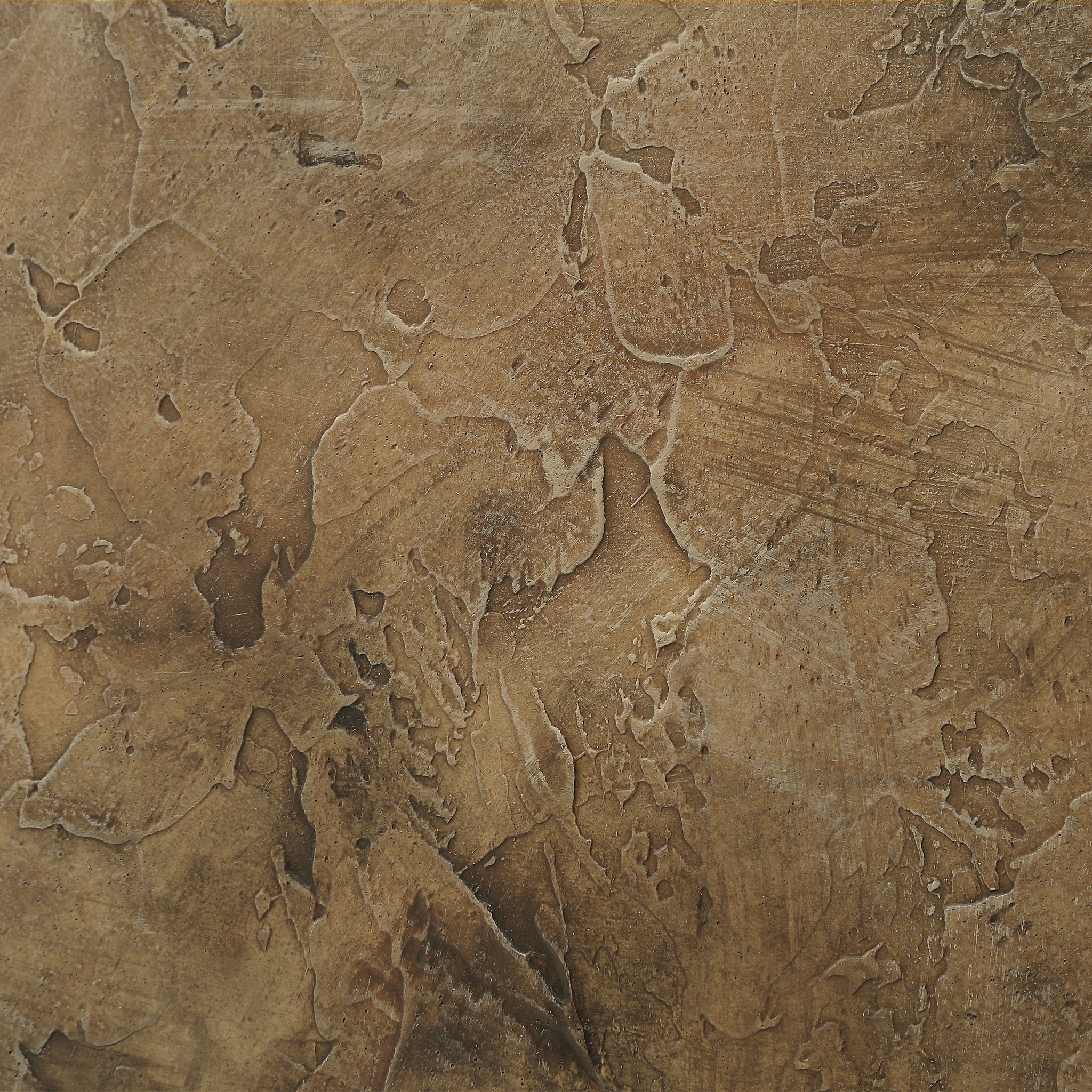 Close-up of Acacia canvas art, highlighting intricate brown textures and patterns.