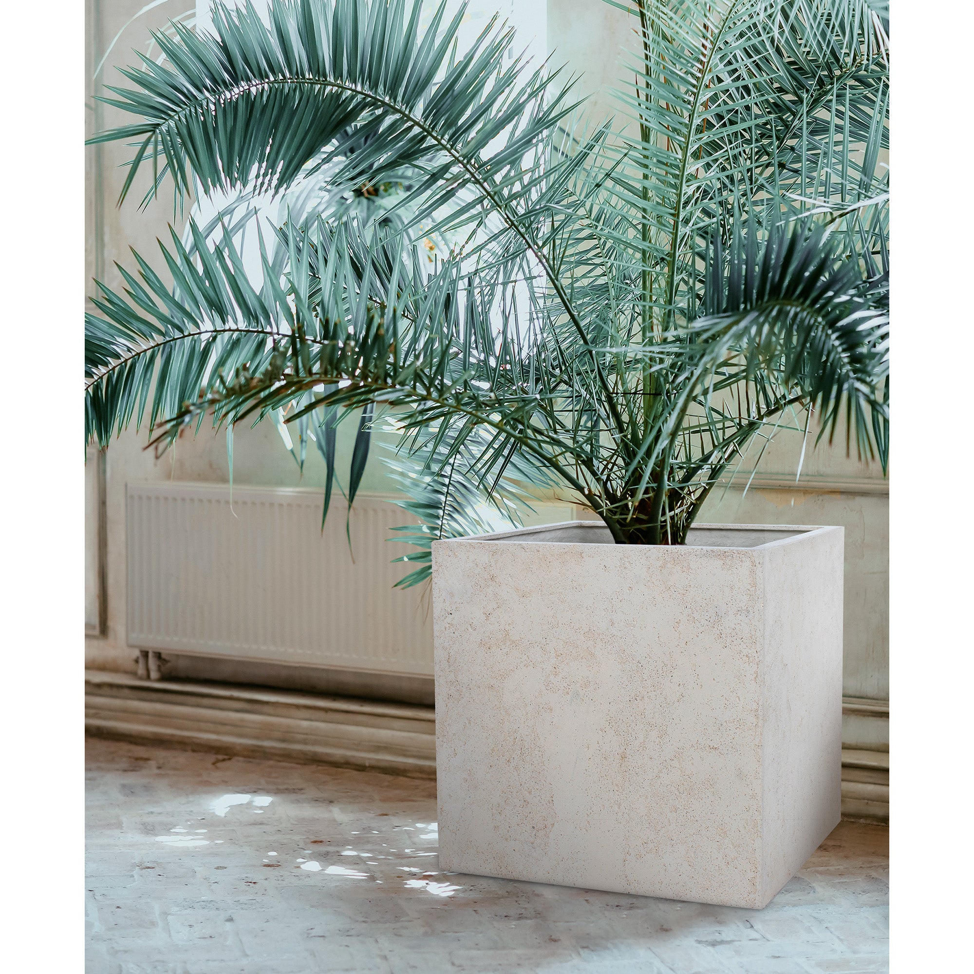 Alona Planter with palm plant inside, showcasing its square design in a bright interior.