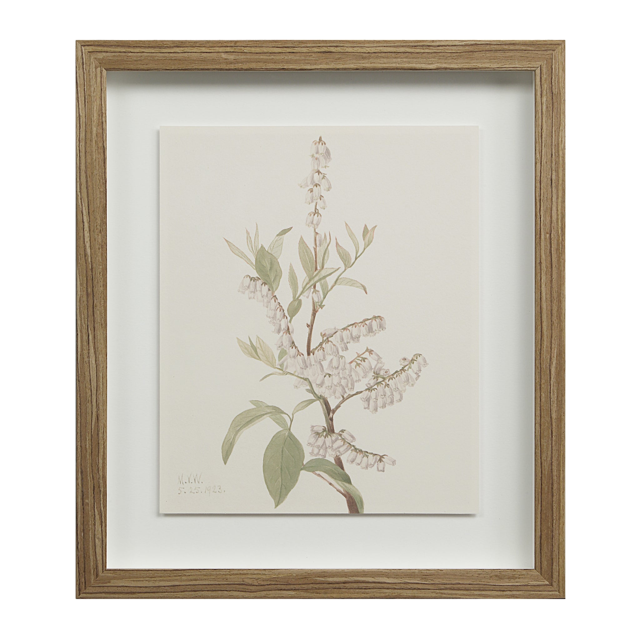 Crema canvas art showcasing a botanical illustration of white flowers in a light wood frame.