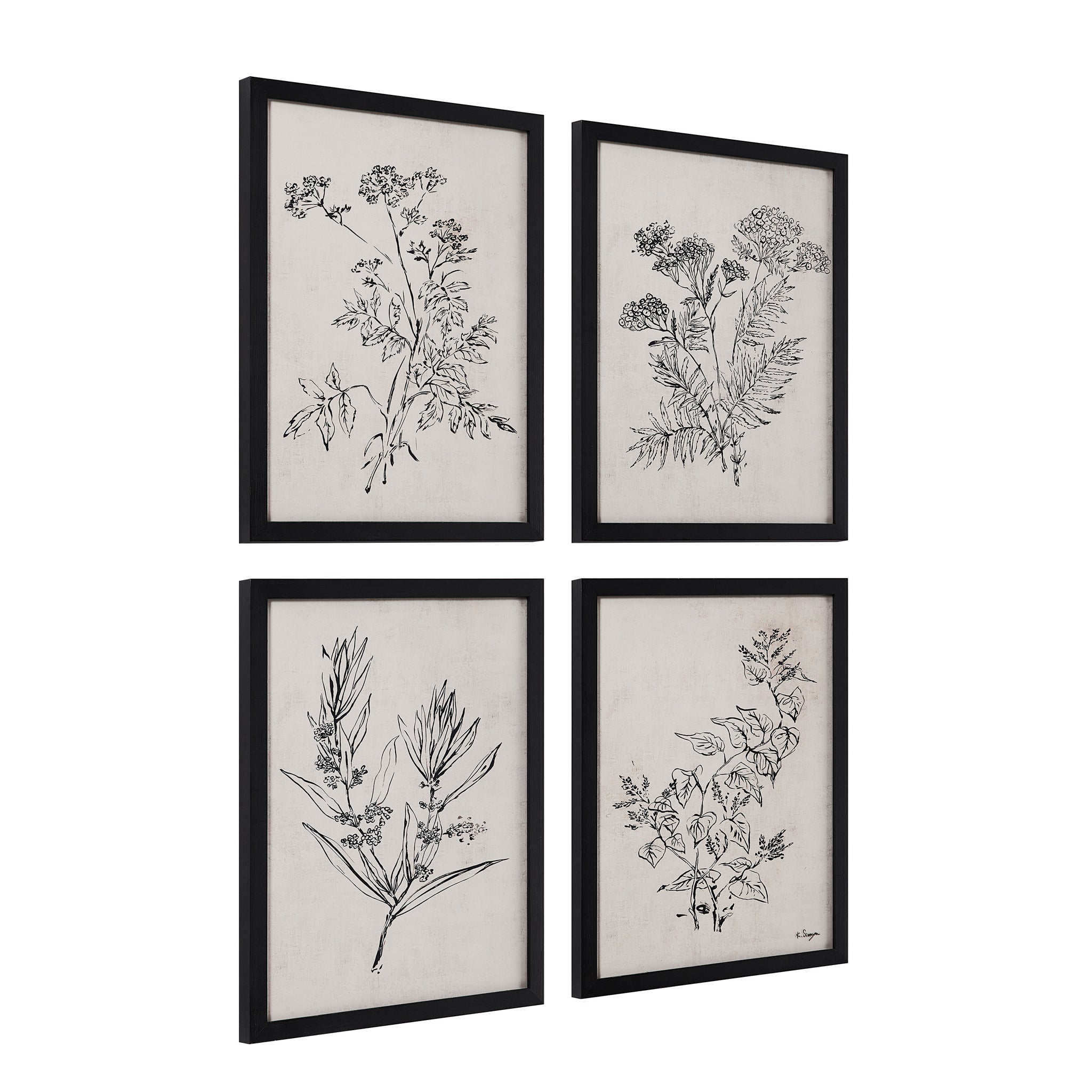 Basset Canvas Art displaying four framed botanical sketches with a beige backdrop and black outlines.