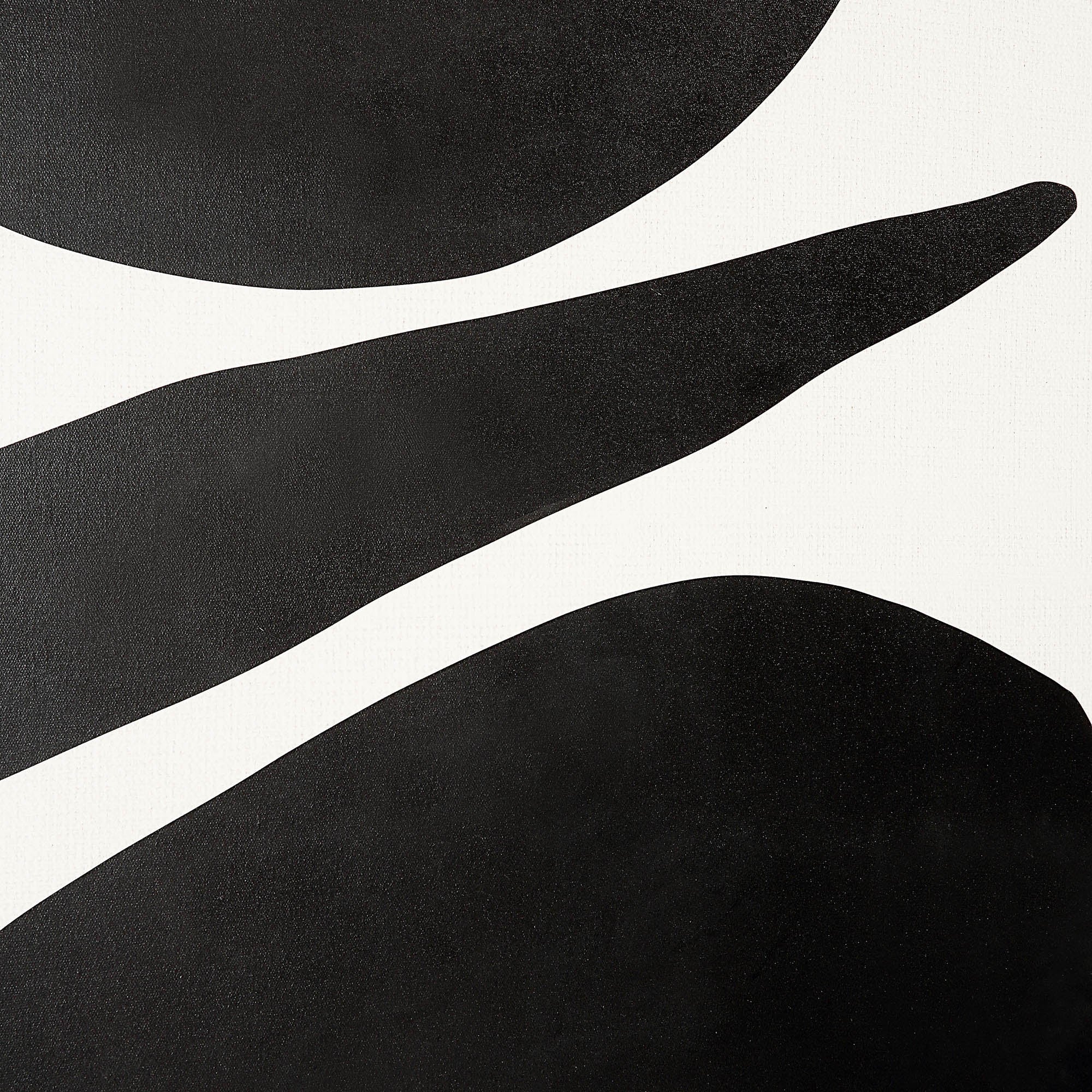 Cercola black and white abstract wall art featuring bold shapes and smooth curves on a textured background.