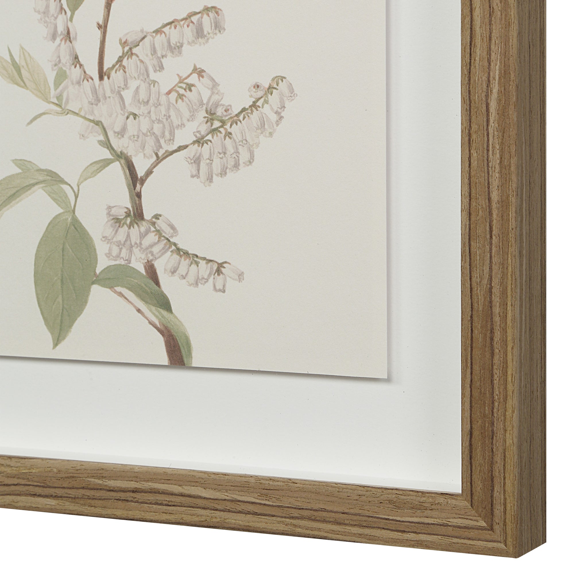 Crema canvas art featuring delicate white flowers with green leaves in a natural wood frame.