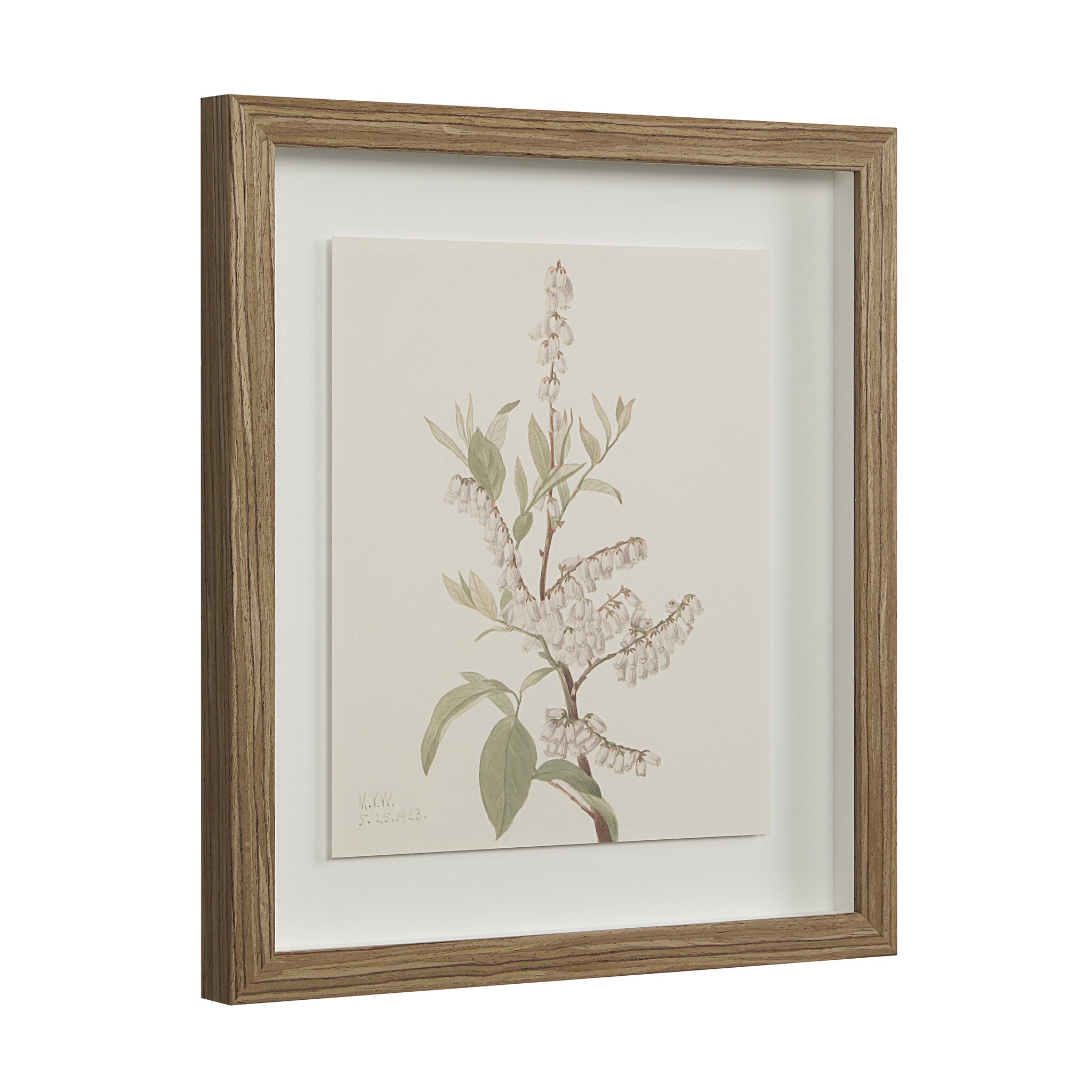 Crema canvas art displaying a floral design with white flowers in a modern wood frame.
