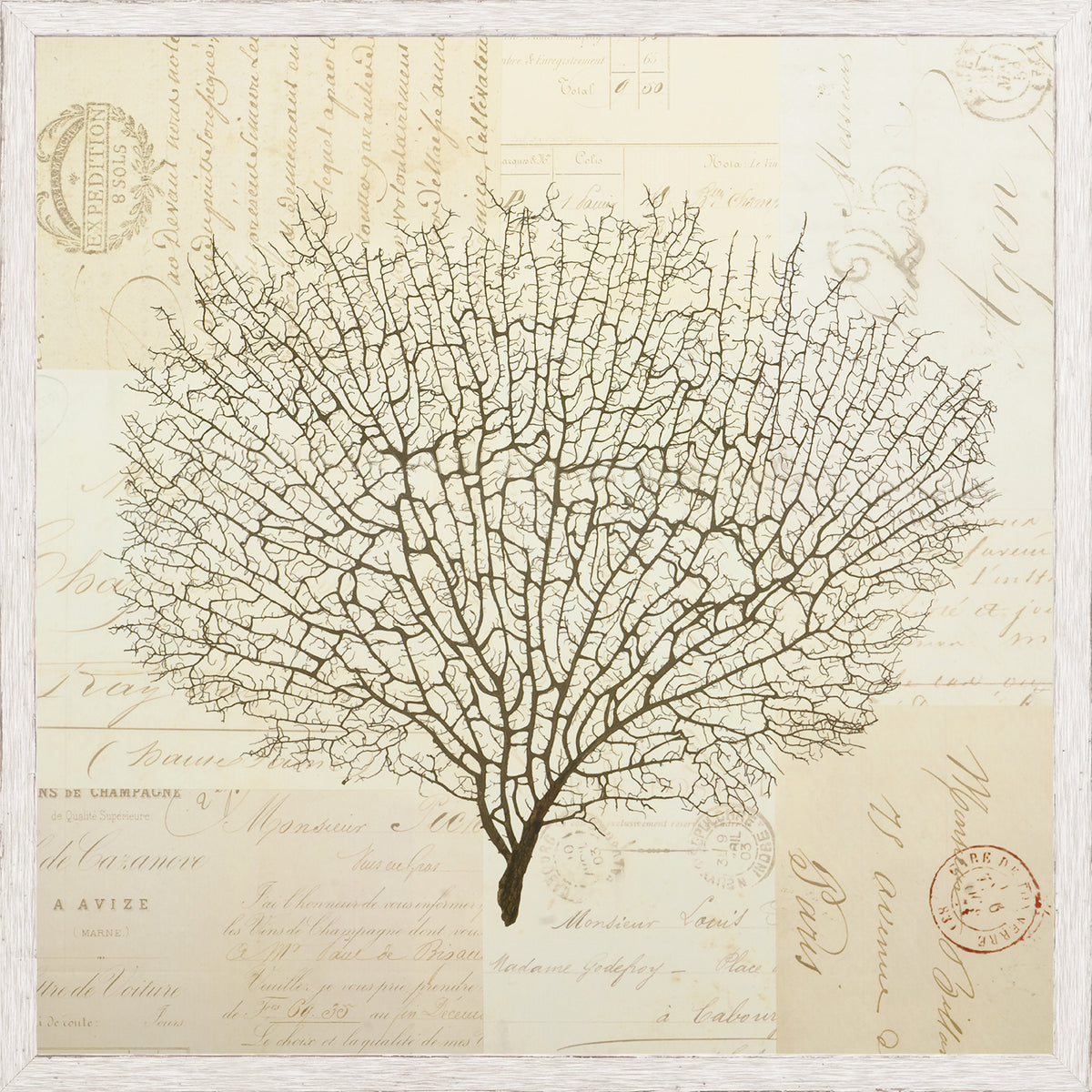 Document Sea Fern Pair Bundle — nature and landscape fine art print in neutral tones at Laurie Yapp Home