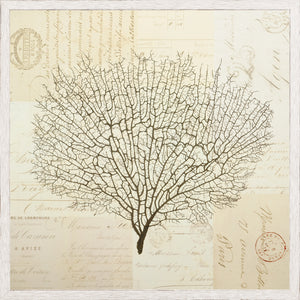 Document Sea Fern Pair Bundle — nature and landscape fine art print in neutral tones at Laurie Yapp Home