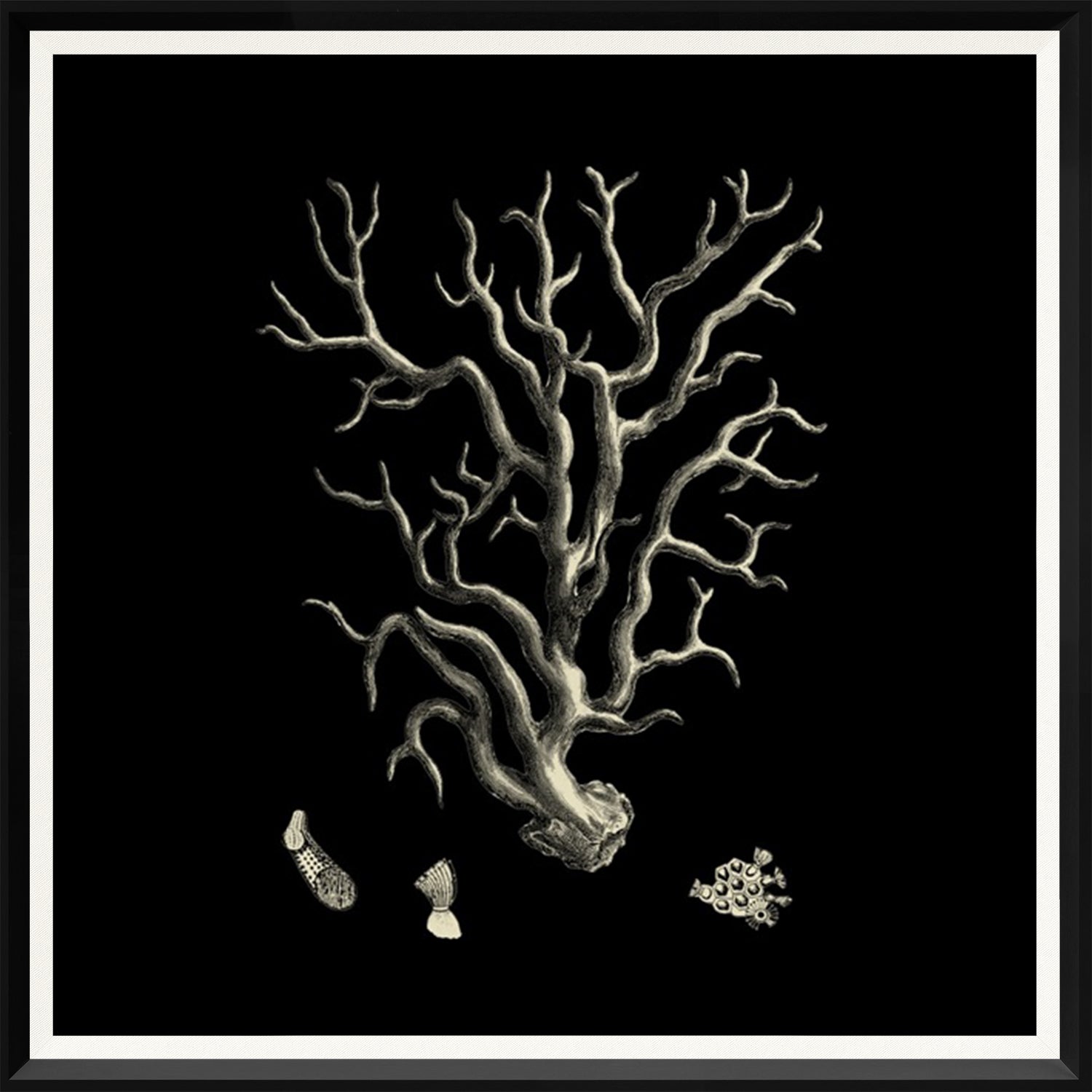 Black & Tan Coral Quartet Bundle — nature and landscape fine art print in neutral tones at Laurie Yapp Home