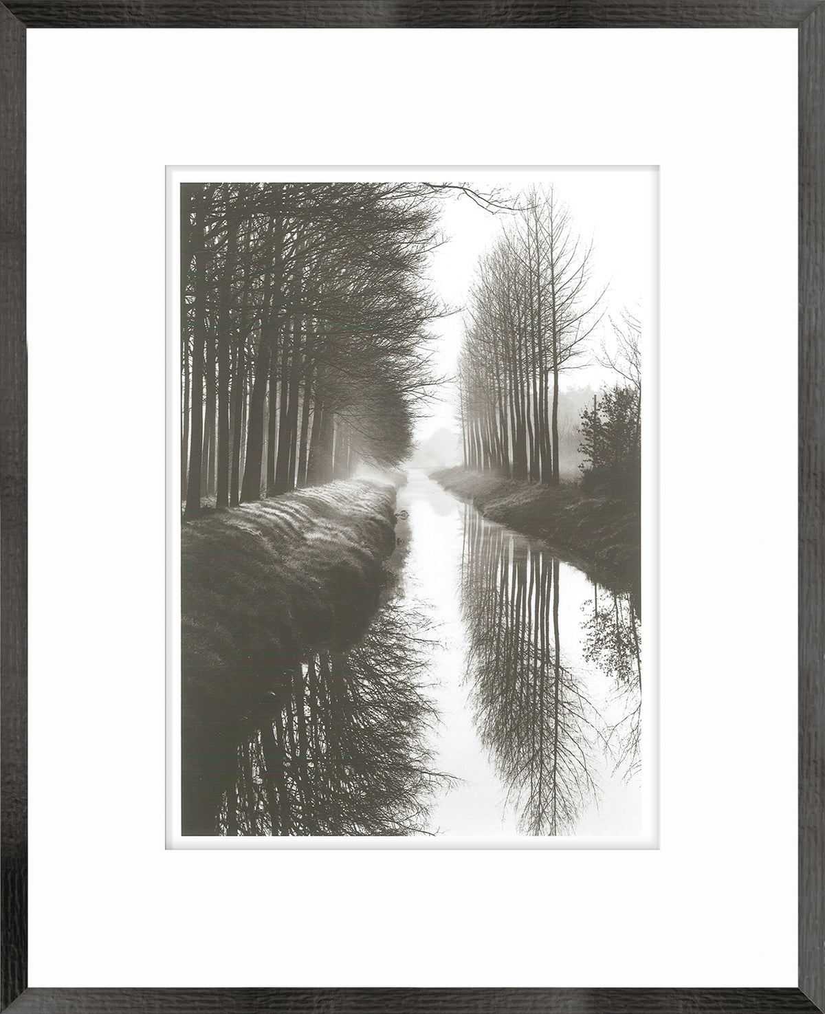 Holland Canal wall art featuring a serene black and white landscape with trees and water reflections