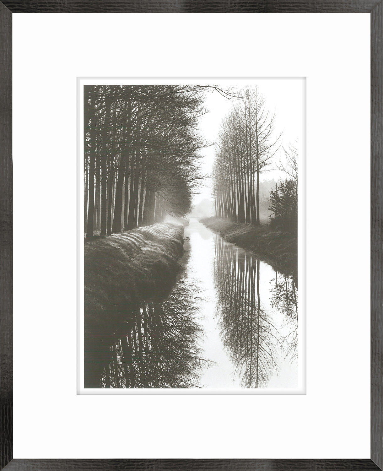 Holland Canal wall art featuring a serene black and white landscape with trees and water reflections
