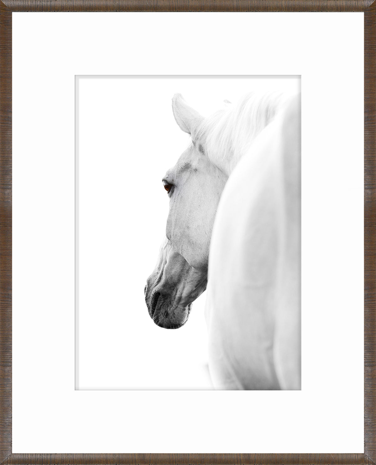 Arabian Horse Pair Bundle — nature and landscape fine art print in neutral tones at Laurie Yapp Home