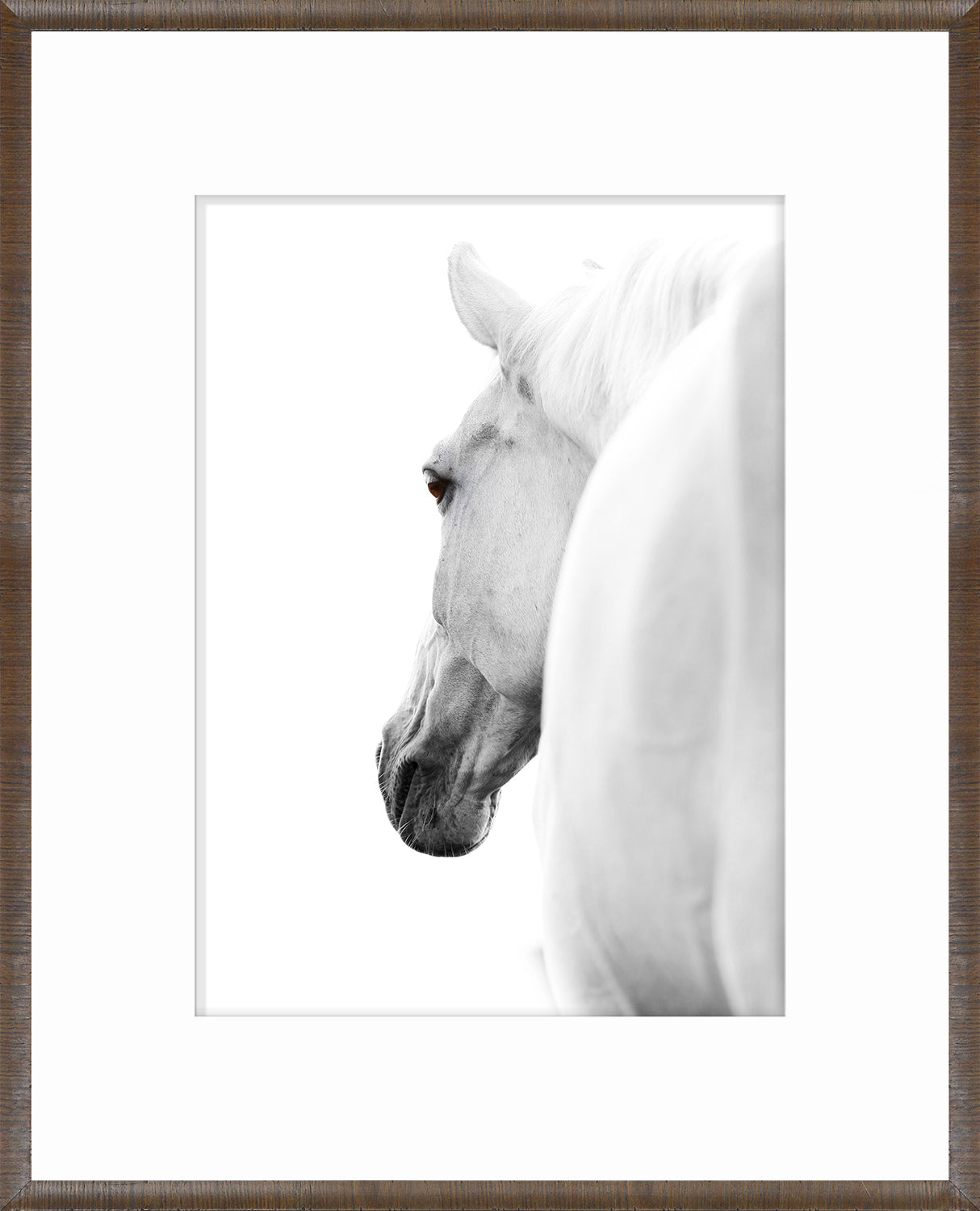 Arabian Horse Pair Bundle — nature and landscape fine art print in neutral tones at Laurie Yapp Home