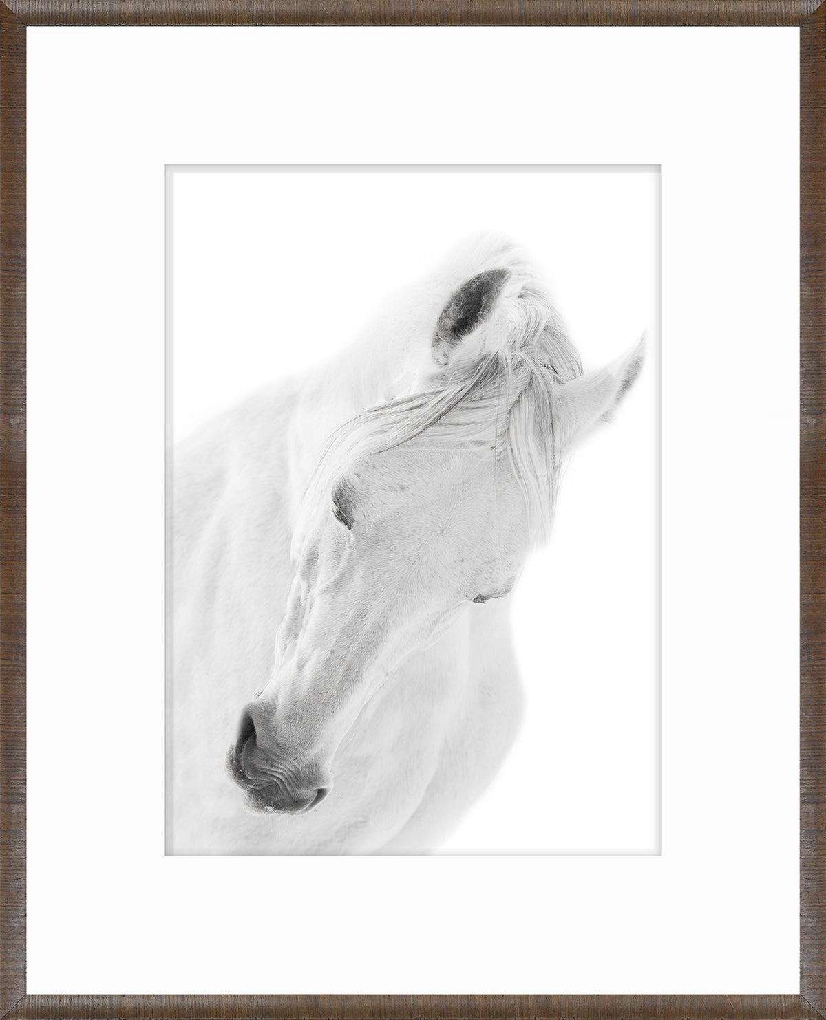 Arabian Horse Pair Bundle — nature and landscape fine art print shown from another angle