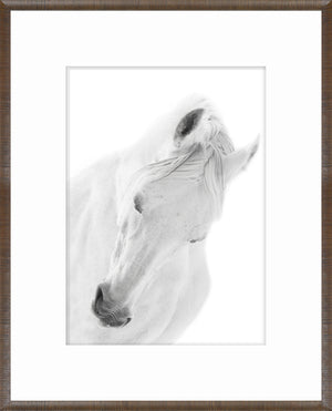 Arabian Horse Pair Bundle — nature and landscape fine art print shown from another angle