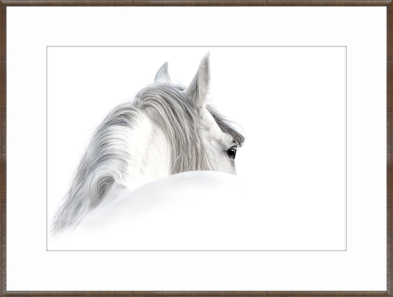 Andalusian & Chestnut Fresco Pair Bundle
