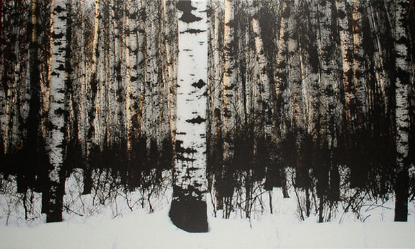 Birches At Sunset wall art featuring dark birch trees against a snowy ground.