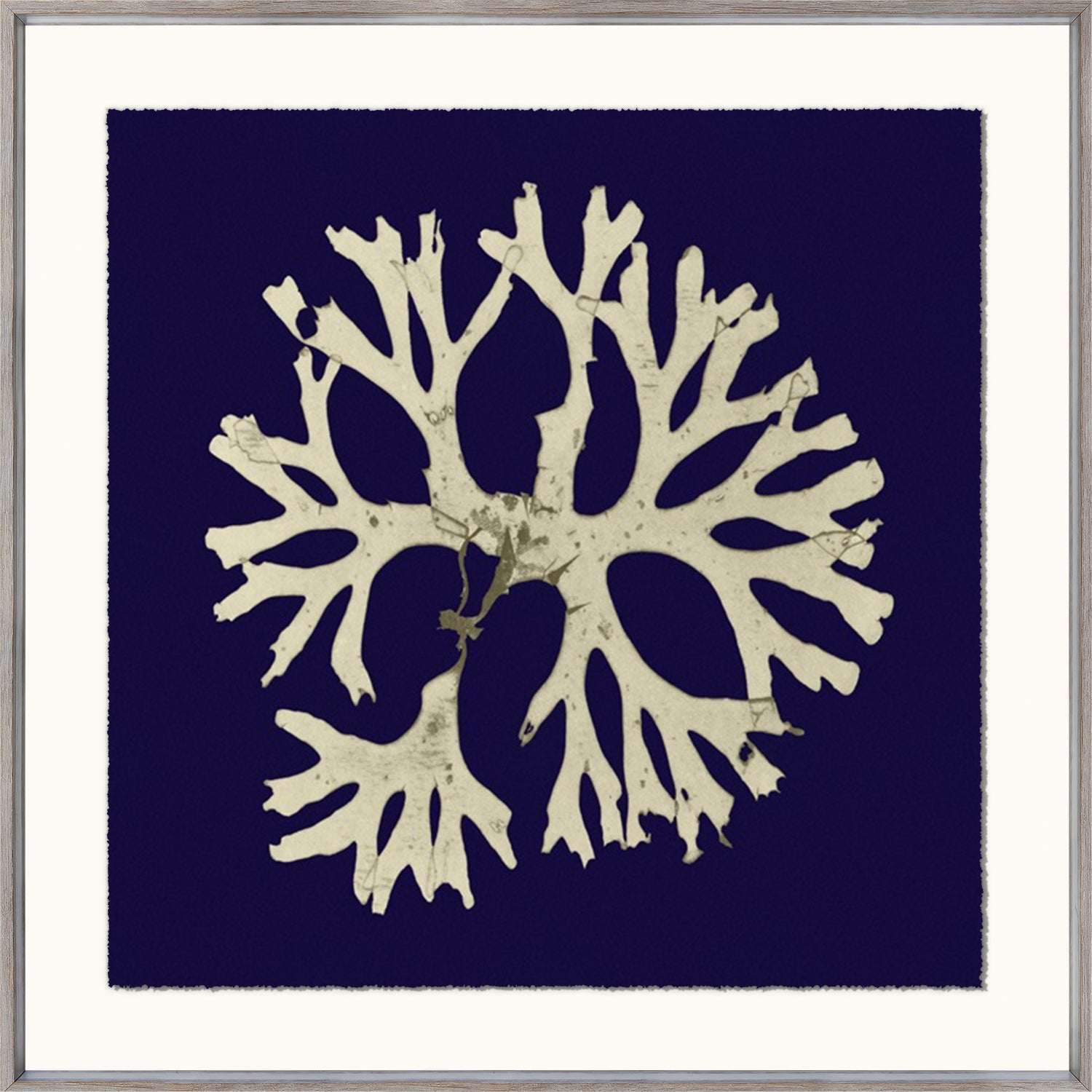 Seaweed On Navy I wall art featuring a beige seaweed design on a navy background