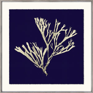 Seaweed On Navy II wall art featuring white seaweed on a navy blue background, framed in a light wood frame.