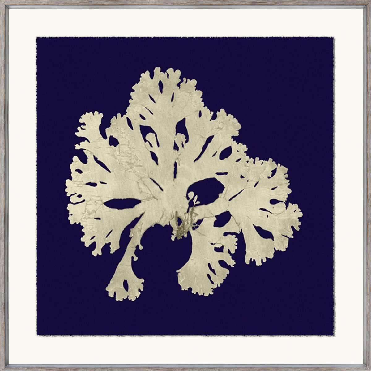 Seaweed On Navy IV wall art featuring a white seaweed design on a navy background.