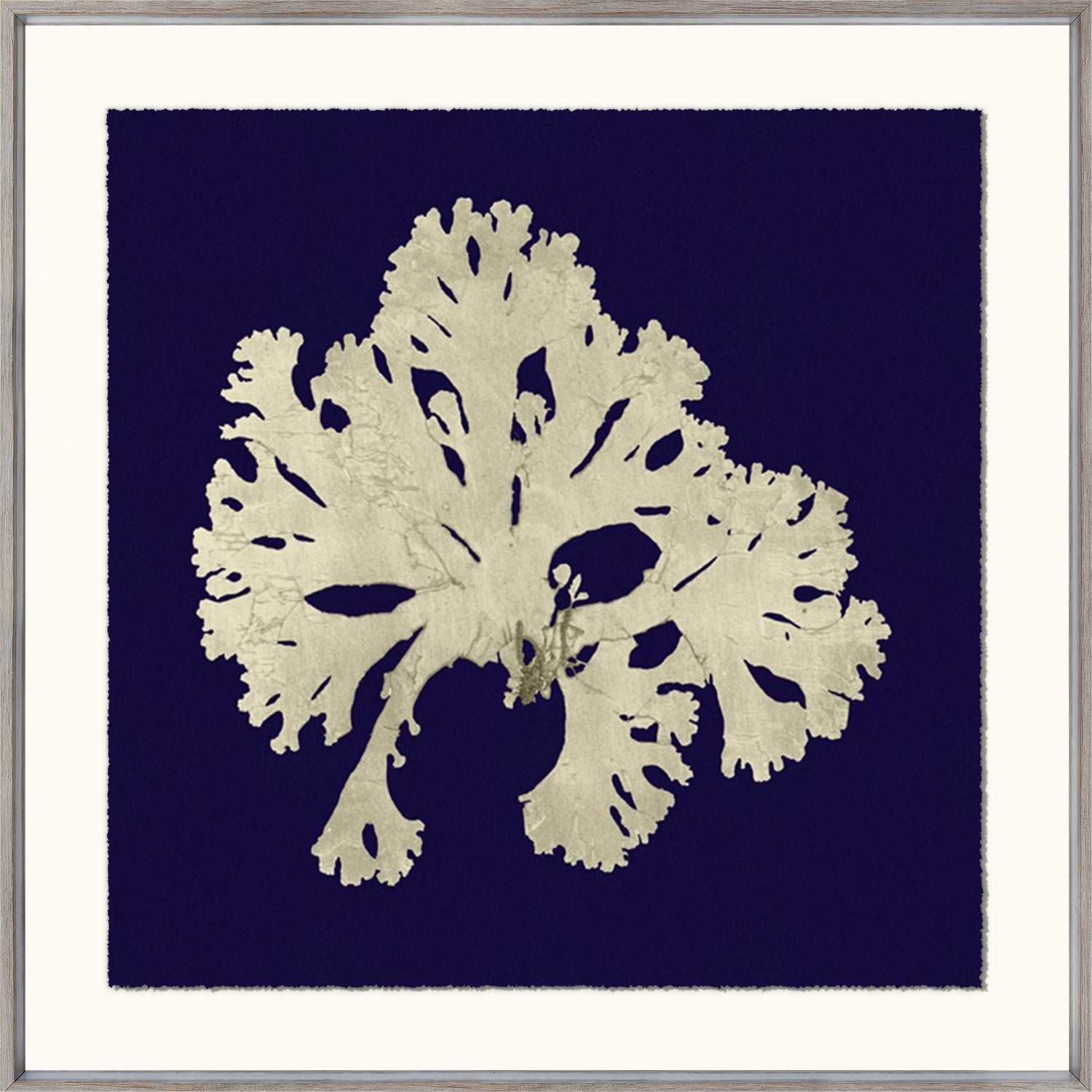 Seaweed On Navy IV wall art featuring a white seaweed design on a navy background.