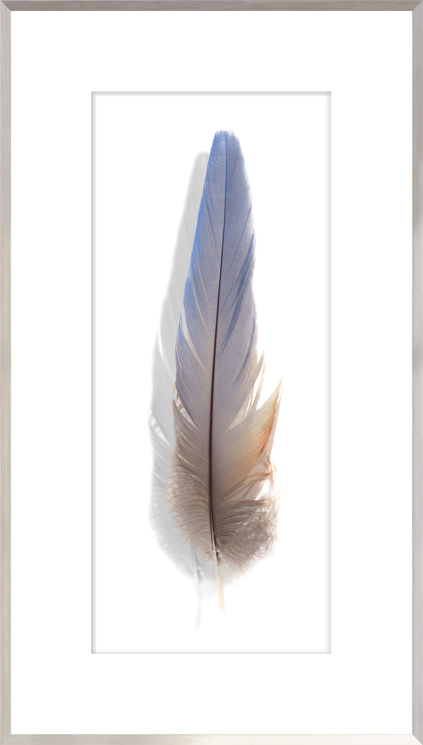Une Plume Feather Trio Bundle