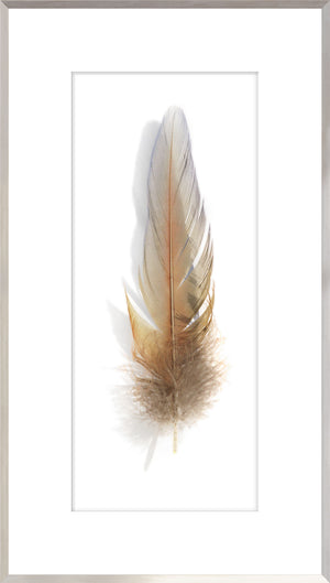 Une Plume Feather Trio Bundle — abstract fine art print shown from another angle