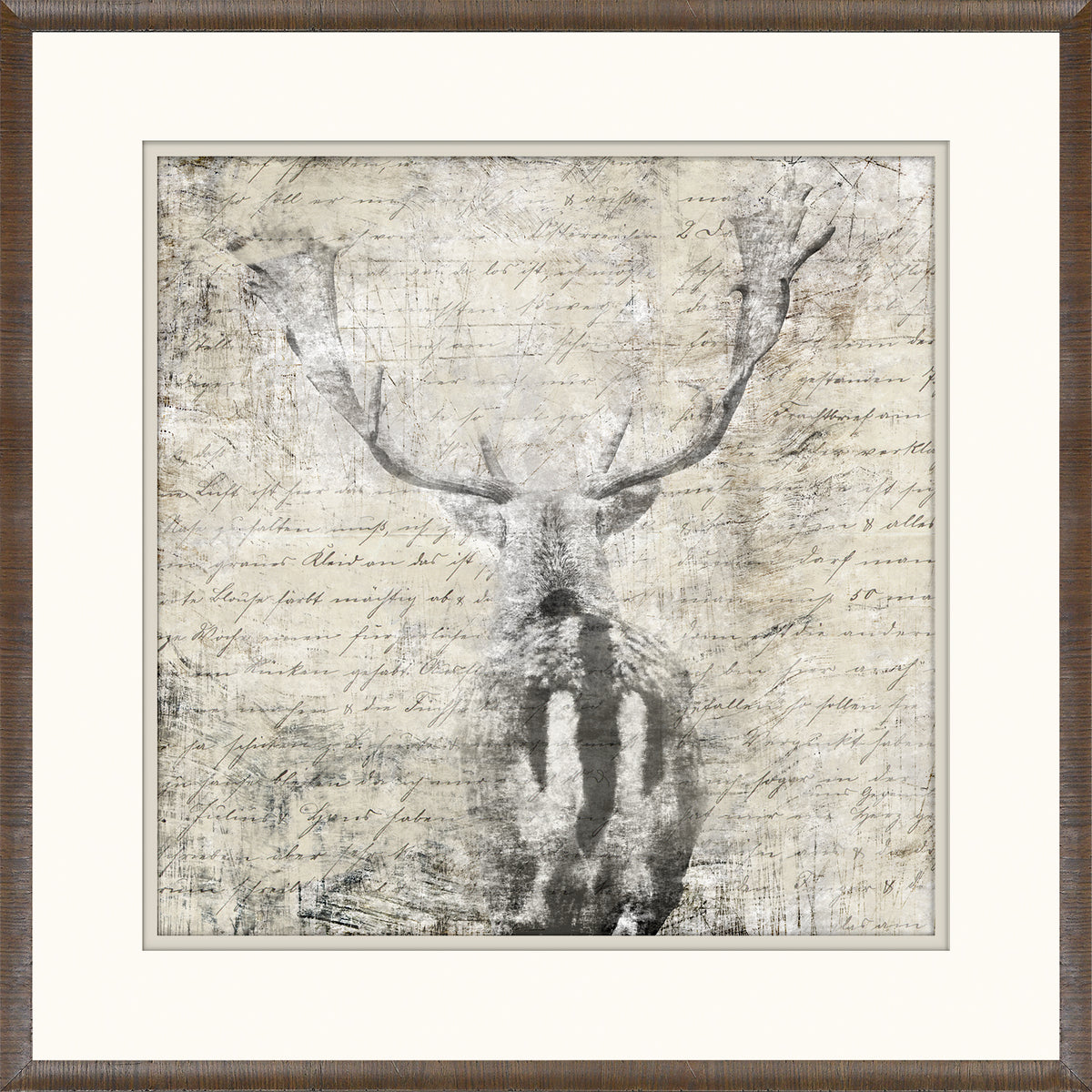 Woodland Denizens Trio Bundle — still life fine art print shown from another angle