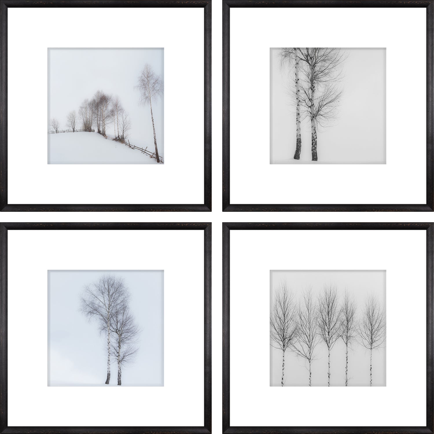 Birch View S/4 wall art featuring four framed images of birch trees in a snowy landscape