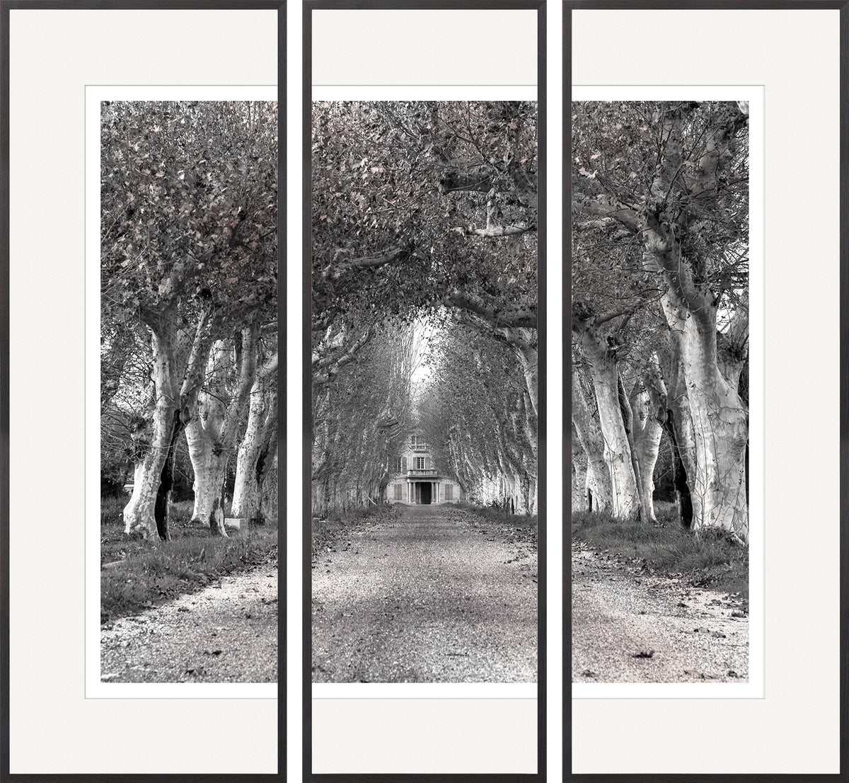 Colonnade Of Trees S/3 Triptych featuring a black and white tree-lined path leading to a building.