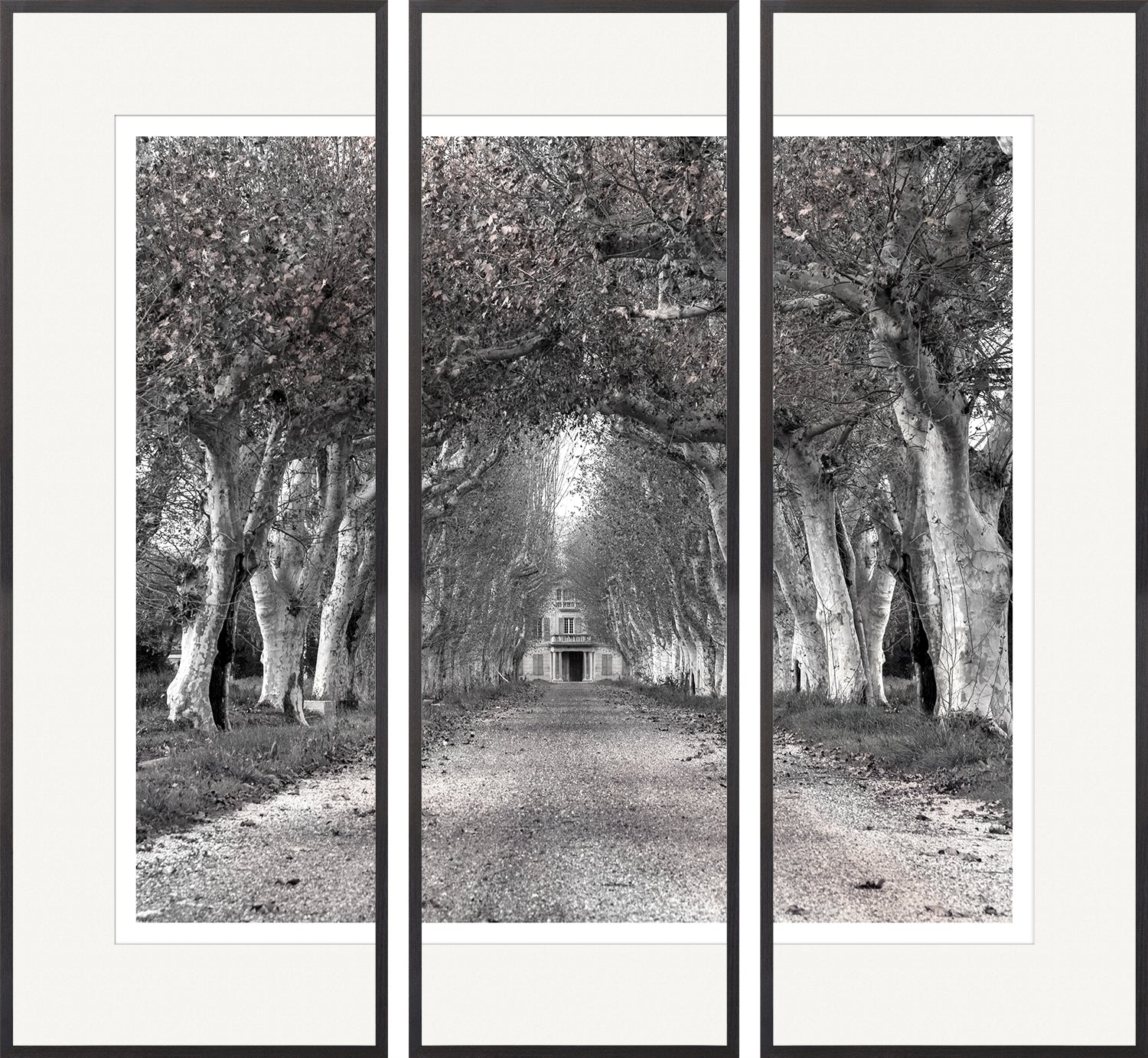 Colonnade Of Trees S/3 Triptych featuring a black and white tree-lined path leading to a building.